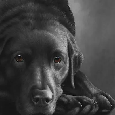 £179 • Buy Nigel Hemming DOG TIRED Print, Labrador Gun Dogs Art Canine Gift #1