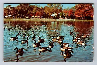 Mifflinburg PA-Pennsylvania Scenic Greetings Geese Vintage Souvenir Postcard • $7.99