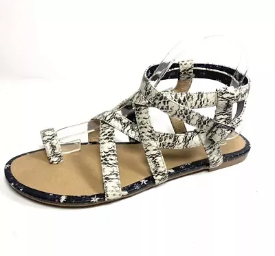 Cabi Athena Shoes Women’s 7M Gray Gladiator Sandals Snake Prints NWOT • $21.50