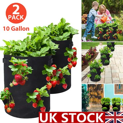 £4.99 • Buy GOTGELIF 2PCS 10 Gallon Strawberry Potato Vegetable Fruit Bag Garden Planter 