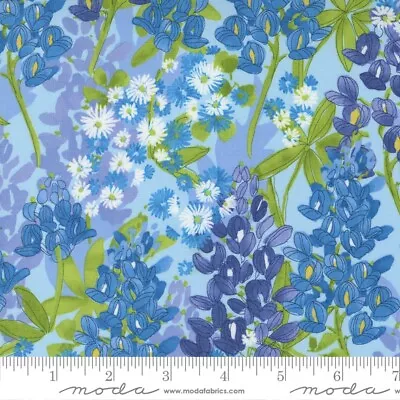 Wild Blossoms Bluebonnets Mist Light Blue By Robin Pickens For Moda 1/2 Yard • $5.61
