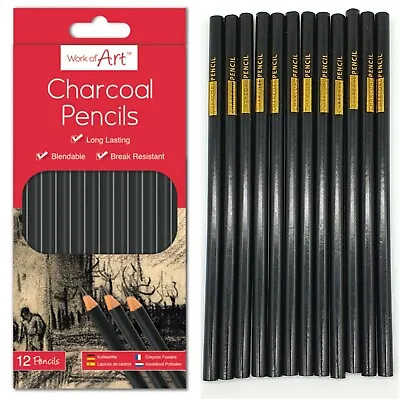 12pc Charcoal Artist Pencils For Drawing Sketching Shading Draw Tones Shades UK • £3.49