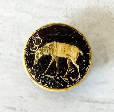 Antique Victorian Stag Horn Pill Or Snuff Box • £41.69