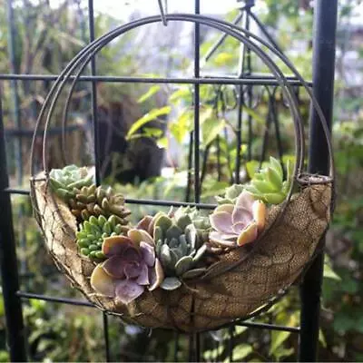 Iron Wire Wreath Frame Succulent Pot Metal Planter Plant Holder • £10.01