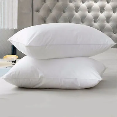 65cm X 65cm Square Euro Continental Microfibre Pillow • £12.99
