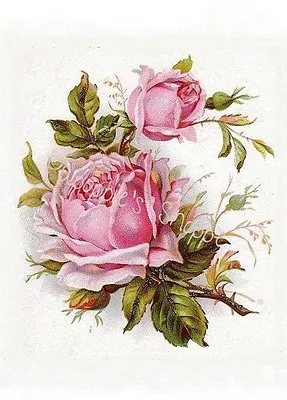 Fabric Block French Victorian Beautiful Pink Roses On Fabric Vintage  • $8.99