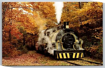 Postcard PA Pioneer Tunnel Coal Mine Steam Train Ashland 37 • $10.95