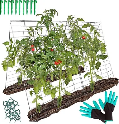 2 Piece Cucumber Garden Trellis A-Frame Grow Support For Climbing Plants • £39.99