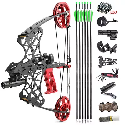 45lbs Mini Compound Bow Set Steel Ball Arrows Fishing Hunting Dual-use Archery • £159.99