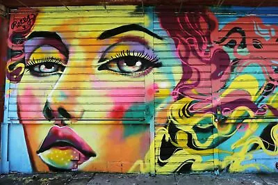 £109.90 • Buy Photo Wall Mural-GRAFFITI-(4211)-NON WOVEN-Wallpaper-Spray-paint Street Art Deco