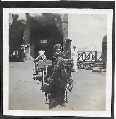 Vtg Antique Photo Girl Sitting In Goat Pulled Cart Wagon • $6