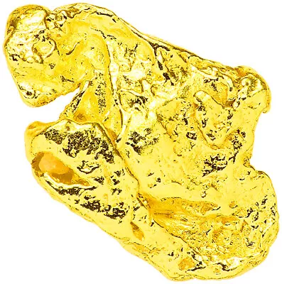 0.2203 Gram Alaska Natural Gold Nugget  ---  (#77181) - Alaskan Gold Nugget • $0.01