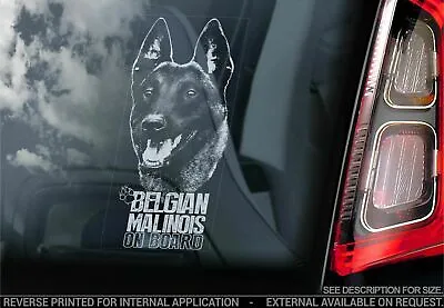 Belgian Malinois Car Sticker - Dog On Board Bumper Window Decal Sign Gift V20 • $5.52