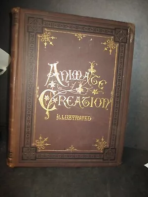 Animate Creation Chromo Lithographs 1885 American Zoology Hardcover Book  F24 Pm • $19.50
