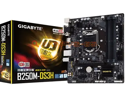 ONE GIGABYTE B250M-DS3H DDR4 64G Micro-ATX LGA1151 Motherboard • $307.05