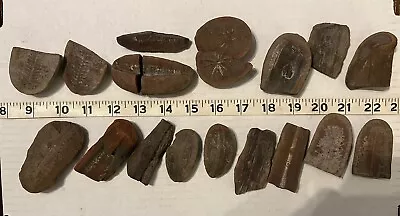 HUGE LOT MAZON CREEK FOSSIL LOT 19 Pieces- Plants Ferns Leaves 309M Years Old • $9.99