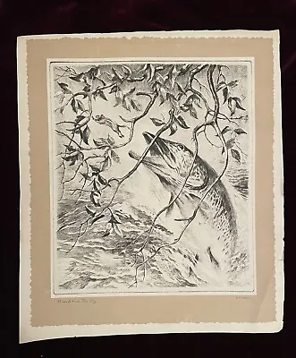 Vintage Art R.H. Palenske Etching Print - Missed Him Big Boy - Fishing Wildlife • $48