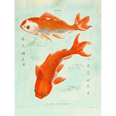 Fish Japanese Koi Art Print Canvas Premium Wall Decor Poster • £13.99