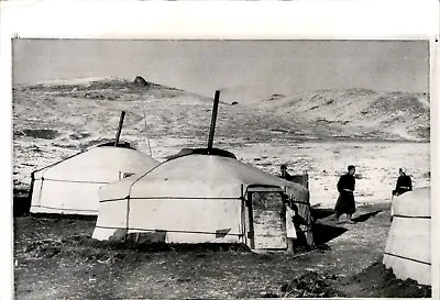 LG50 1964 Wire Photo PORTABLE HOUSES CALLED YURTS ARE HOMES TO NOMADS MONGOLIA • $20