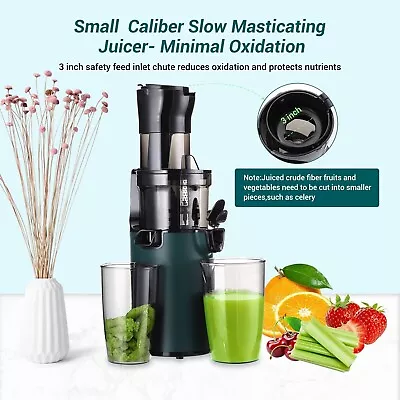 SOVIDER Juicer Machines Juice Yield Compact Slow Masticating With Brush Pulp Cup • £99.99