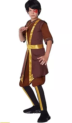 The Last Airbender ZUKO Boys Halloween Costume Size L 10/12 Cosplay Convention  • $18