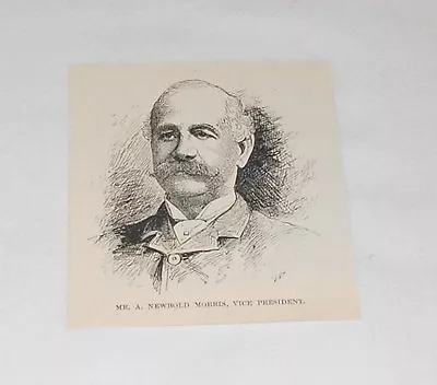 1895 Magazine Engraving ~ A NEWBOLD MORRIS VP NY City Council • $5.29