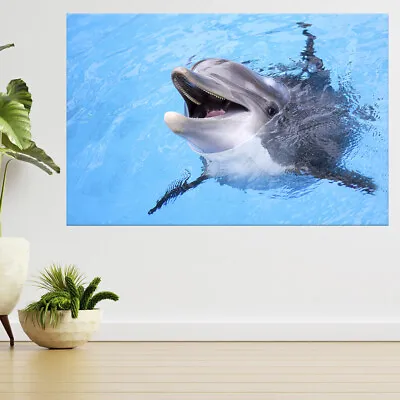 Charming Dolphin Play Underwater 3d View Wall Sticker Poster Decal A778 • £13.99