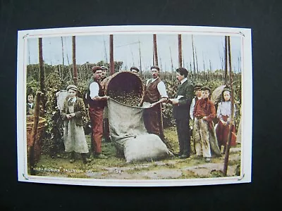 Nostalgia Postcard Of Hop Picking In Kent. Tallying Off. • £0.99