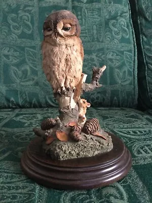 Tawny Owl With Mice Country Artist Ornament On Wooden Mount • £16.95