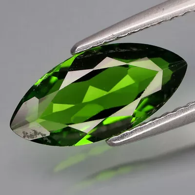 1.60Ct.Best Color&Full Fire! Natural Russian Top Green Chrome Diopside • $0.99