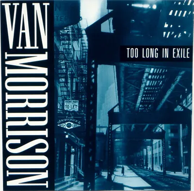 VAN MORRISON  Too Long In Exile  New Original 1993 US Promo Only 12  Poster Flat • $9.99