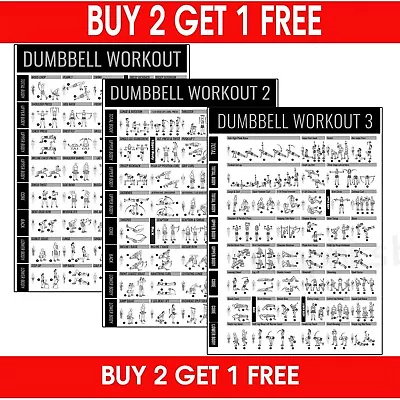 Dumbbell GYM WORKOUT Exercise Chart POSTER Poster Wall PRINT | A5 A4 A3 A2 A1 |  • £2.99