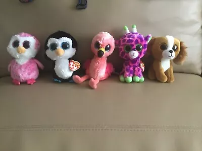 The Beanie Boo’s Toys • $25