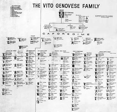 Vito Genovese Family Chart  8x10 Photo Mafia Organized Crime Mob Mobster Picture • $5.99