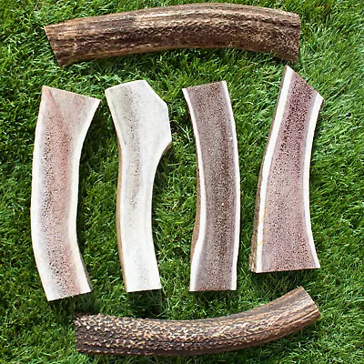 £4.99 • Buy Deer Antler Halfs Splits Healthy  Dog Chews - Long Lasting Treats Sm Med Large