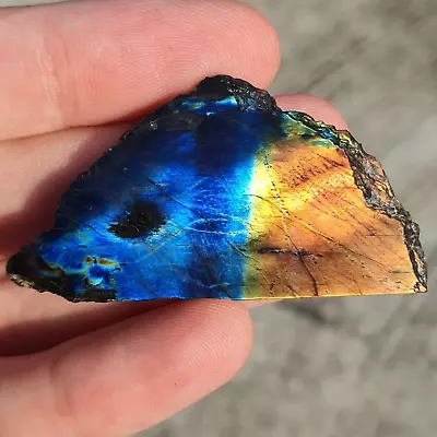 6.06 Mega Rare Spectrolite Finnish REAL Authentic Finland Ylamaa Slab Freakenfru • $91