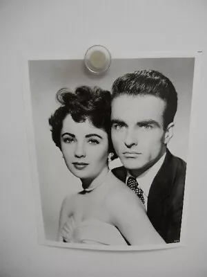 Original A Place In The Sun Elizabeth Taylor Montgomery Clift (1951) Photo Mint • $3