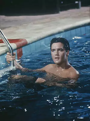 American Singer And Actor Elvis Presley In The Pool 1969 • $5.83