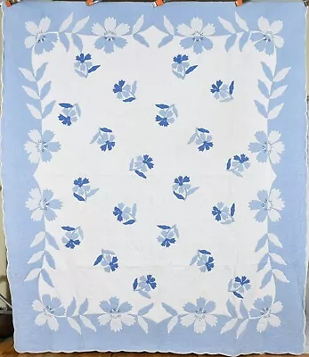 WELL QUILTED Vintage 30's Blue & White  Cornflower  Applique Antique Quilt! • $675