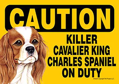 Killer Cavalier King Charles On Duty Dog Sign Magnet Hook & Loop Fastener 5x7 • $16.04