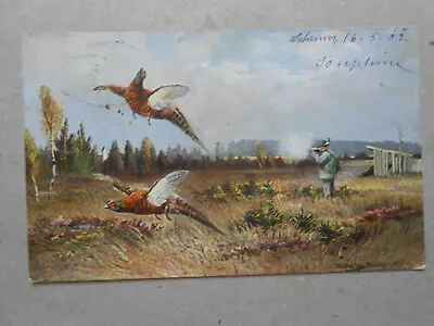 CPA Artist Muller Jun Birds In Flight & Hunter Series 844 - 1902 • $5.33