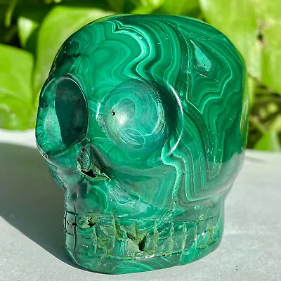 1.69LB Natural Malachite Quartz Crystal Skull Carved Stone Skeleton Ghost Head H • $0.99