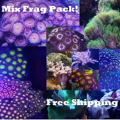 Softy Frag Pack 5 Mix Corals Colorful Leathers Polyps Mushrooms Live Reef Salt • $79.99