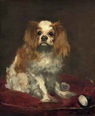 A King Charles Spaniel By Edouard Manet Art Print • $11.95