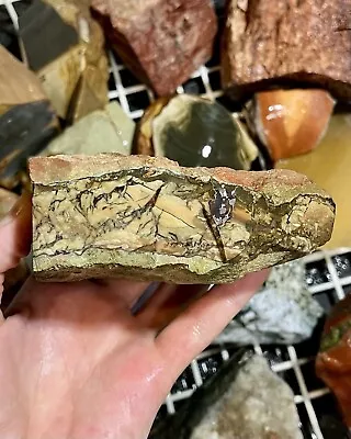 Carrasite Jasper Rough RARE! Morrisonite Cousin Stone! Faced On 3 Sides! 1.5LBS • $199.99