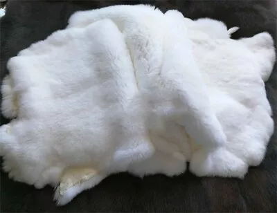 2pcs Natural Rex Rabbit Skin Real Animal Fur Pelt Leather Crafts Material White • $35.14