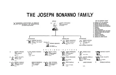 Joseph Bonanno 8x10 Photo Mafia Organized Crime Family Chart Mobster Mob Picture • $5.99
