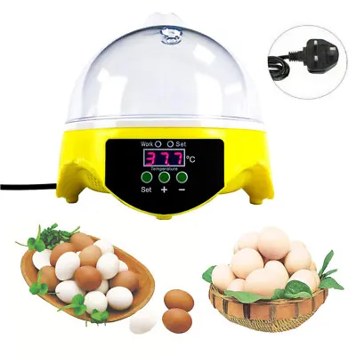 7 Digital Egg Incubator Chicken Hatcher Automatic Temperature Control Kids Gift • £24.99