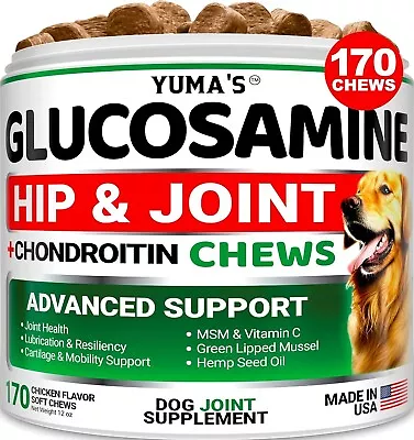 Advanced Hip And Joint Supplement For Dogs Joint Pain Relief With MSM • $23.70