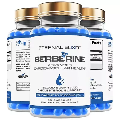 BERBERINE HCL | HIGH DOSE | 10000MG PER CAPSULE | 90 CAPSULES | Blood Sugar • $59.95